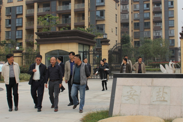 �����һ�вι۰���������������